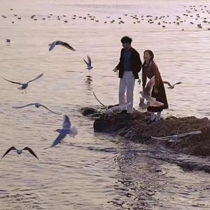 家庭乱伦小说区国产精品
