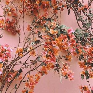 家庭乱伦小说区国产精品
